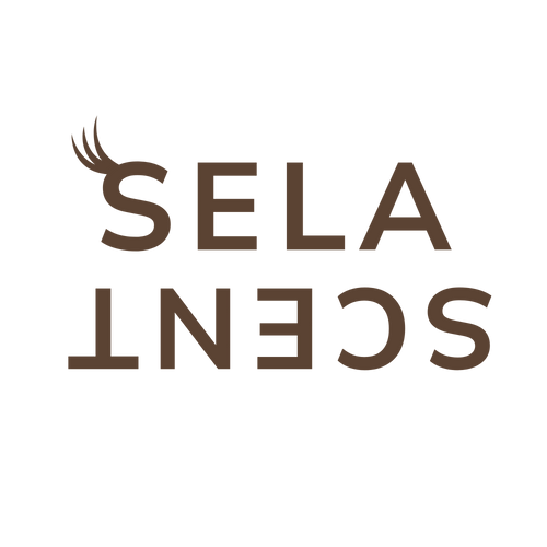 logo selascent 
